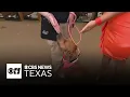 Fort Worth hosts Mega Adoption Event in effort to find over 1 000 pets homes