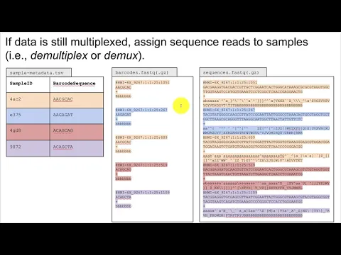 Microbiome Analysis Methods (part 1)