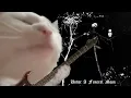 Darkthrone - To Walk the Infernal Fields [EL GATO METALERO]