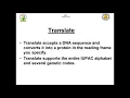 Bioinformatics Training DNA Translation