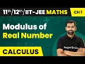 Modulus of Real Number - Relations and Functions Maths Class IIT-JEE