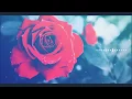 Download Lagu 📲 🎵 🎧 Aashiqui 2 Instrumental \u0026 Flute Ringtone | Romantic Song Ringtone | YO YO Xahat | TikTok