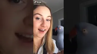 مافي اهضم من هيك             دندنها