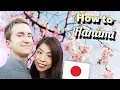Download Lagu 🇯🇵 LOCAL's Guide to Cherry Blossom Hanami in Japan  🇯🇵