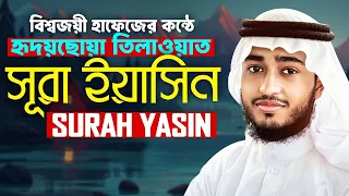 লাইভ🔴সূরা ইয়াসিন ক্বারী আবু রায়হান Surah Yasin Qari Abu Rayhan
