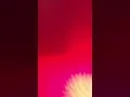 김현정 되돌아온이별 커버