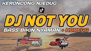 dj not you bass adem qipli bdl