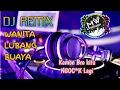 Download Lagu Dj Remix Wanita Lubang Buaya