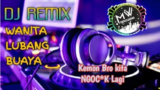 Download Dj Remix Wanita Lubang Buaya MP3