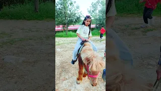 ليليان طلعت ع الحصان لأول مره   دندنها