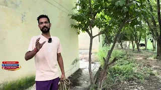 Outdoor Rescue 🐂दो दिन लगे लेकिन पकड़ कर ही माने😊🙏🏻