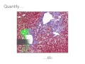 ImageDx - Quantitative Image Analysis