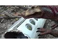 Download Lagu Jurassic Park 3 Toy Movie