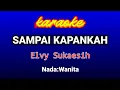 Download Lagu SAMPAI KAPANKAH Karaoke-Elvy Sukaesih