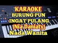 BURUNG INGAT PULANG(Karaoke Nada Wanita) - Nia Daniaty