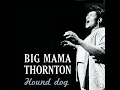 Hound Dog