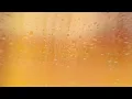 Fuerza Regida - PERO NO TE ENAMORES (Letra/Lyrics)