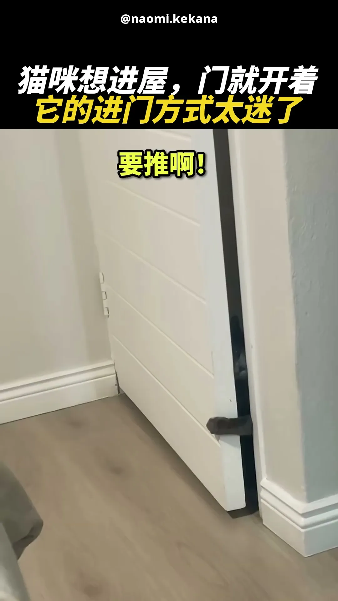 推门?不存在的,我只会拉 😹🚪
