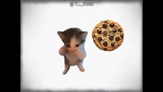 اغنيه نو بسكوت نو       دندنها