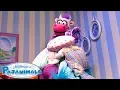 Download Lagu The Pajanimals' Messiest Moments! | Pajanimals