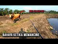 Download Lagu CASTING HARUAN | DUA HARI MISI MENCARI HARUAN | DAIWA REVROSE 1000LT | VLOG630