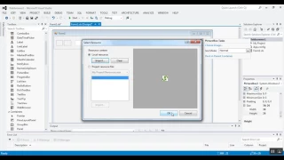 Web browser with vb net