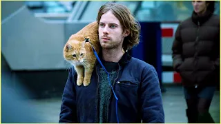 homeless mans life is changed after finding a stray cat
