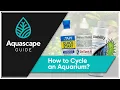AquascapeGuide - How to Cycle an Aquarium