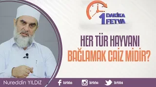 Her tür hayvanı bağlamak caiz midir?