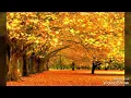 Download Lagu Cố giữ hay phải quên đi cover joi bkr