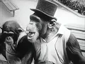 The Wiseguys "Ooh La La"