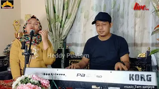 Download LIVE MUSIC.SAKA NUNGGU.cipt : Zulian Haidir.COVER : Nissa ParLa MP3