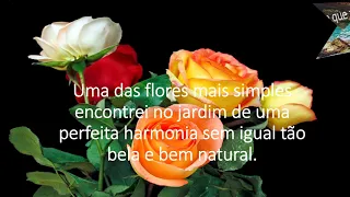 frases em rimas