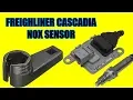 How To Replace Nox Sensors On Freightliner Cascadia