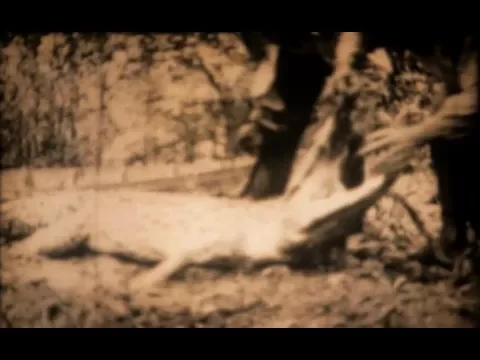 La Pêche à Crocodile / Crocodile Fishing (1911)