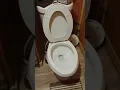 glacier bay dual flush toilet not flushing properly do not replace until you try this