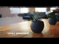 Disable unused assets in WordPress using Gonzales v2