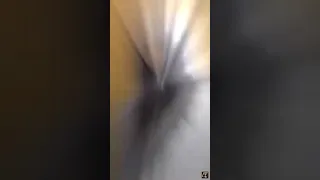 احبك واستحي من اهلك تصميم لـ بلي اغنيه عراقي  احبك واستحي من اهلك تصميم لـ بلي اغنيه عراقي