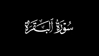 سورة البقرة كاملة بصوت جميل ومؤثر شاشة سوداء بدون حقوق الطبع والنشر 