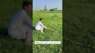 رايحه فين يا حجه تعالي  رايحه فين يا حجه تعالي