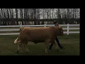 Episode 25 Max Burris and Yogi Bear Vold Jones Vold for our virtual sale
