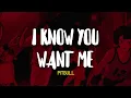 Download Lagu Pitbull - I Know You Want Me (Calle Ocho) (Letra)
