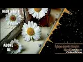 HiraiZerdüş - İçime Sevda Kaçar