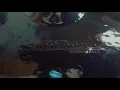 Gaspard Augé - Vox (Official Audio)
