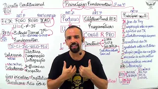 ⭐️ Princípios Fundamentais — Direito Constitucional | @PROFRILU | PHD Concursos ⭐️