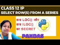 Pandas Series row selection using loc and iloc Introduction to Pandas Series in Class 12 IP