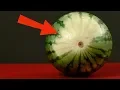 Pay Close Attention To The White Spot On The Melon - You re Going To Love This Tip