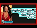Which Dog Breeds Are Restricted At New Jersey Pet-friendly Stays - All About New Jersey