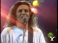 Festival de Viña 1991, Miguel Mateos, Atado a un Sentimiento