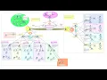 COMPLETE Campus Area Network System Design Implementation - Part 1 2 Campus Area Network Project
